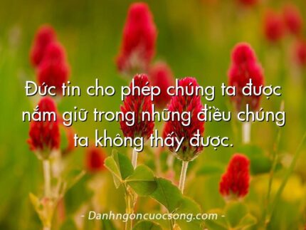 Đức tin cho phép chúng ta được nắm giữ trong những điều chúng ta không thấy được.