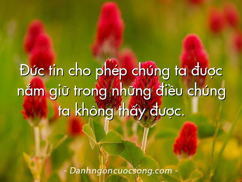 Đức tin cho phép chúng ta được nắm giữ trong những điều chúng ta không thấy được.