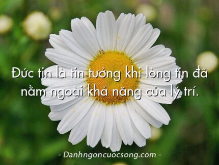 Đức tin là tin tưởng khi lòng tin đã nằm ngoài khả năng của lý trí.