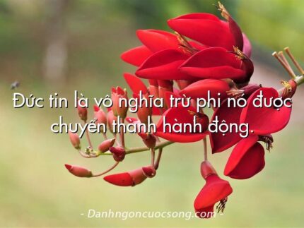 Đức tin là vô nghĩa trừ phi nó được chuyển thành hành động.