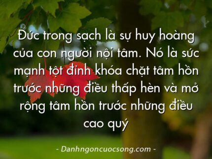 Đức trong sạch là sự huy hoàng của con người nội tâm. Nó là sức mạnh tột đỉnh khóa chặt tâm hồn trước những điều thấp hèn và mở rộng tâm hồn trước những điều cao quý