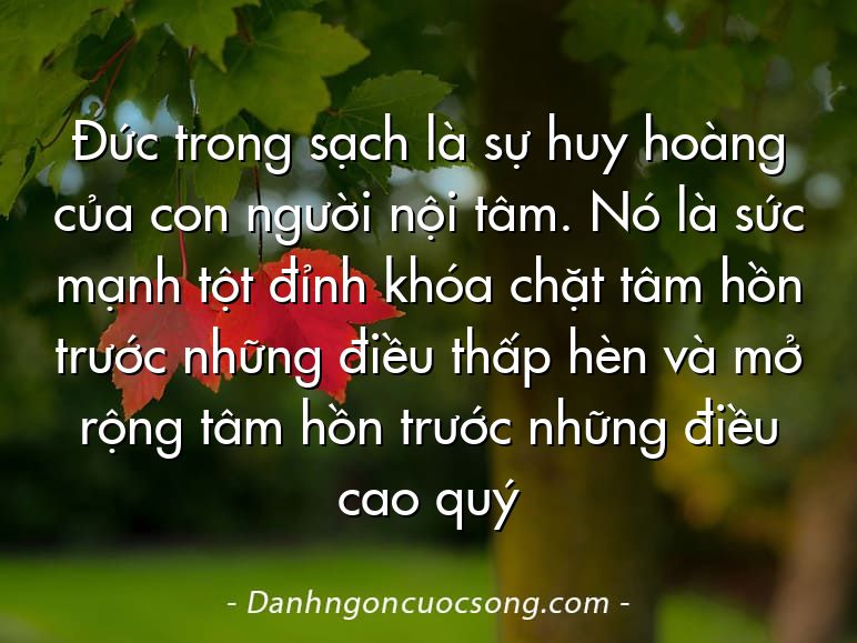 Đức trong sạch là sự huy hoàng của con người nội tâm. Nó là sức mạnh tột đỉnh khóa chặt tâm hồn trước những điều thấp hèn và mở rộng tâm hồn trước những điều cao quý