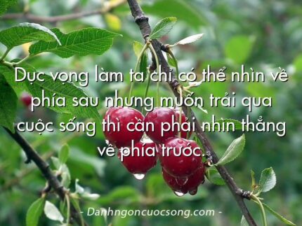 Dục vọng làm ta chỉ có thể nhìn về phía sau nhưng muốn trải qua cuộc sống thì cần phải nhìn thẳng về phía trước.