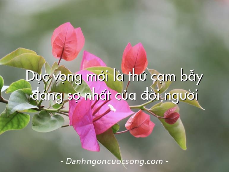 Dục vọng mới là thứ cạm bẫy đáng sợ nhất của đời người