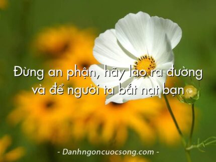 Đừng an phận, hãy lao ra đường và để người ta bắt nạt bạn