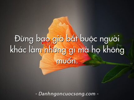 Đừng bao giờ bắt buộc người khác làm những gì mà họ không muốn.