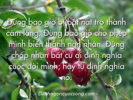 Đừng bao giờ bị bắt nạt trở thành câm lặng. Đừng bao giờ cho phép mình biến thành nạn nhân. Đừng chấp nhận bất cứ ai định nghĩa cuộc đời mình; hãy tự định nghĩa nó.