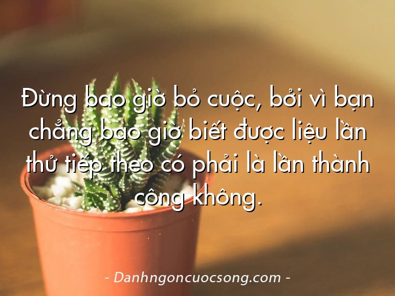 Đừng bao giờ bỏ cuộc, bởi vì bạn chẳng bao giờ biết được liệu lần thử tiếp theo có phải là lần thành công không.