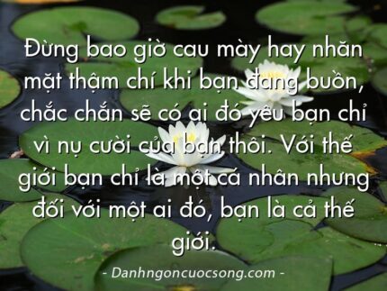 Đừng bao giờ cau mày hay nhăn mặt thậm chí khi bạn đang buồn, chắc chắn sẽ có ai đó yêu bạn chỉ vì nụ cười của bạn thôi. Với thế giới bạn chỉ là một cá nhân nhưng đối với một ai đó, bạn là cả thế giới.