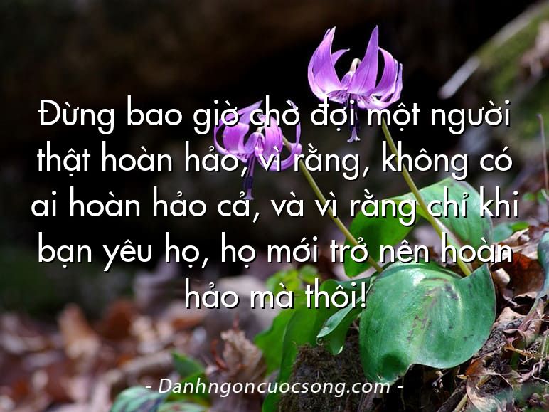 Đừng bao giờ chờ đợi một người thật hoàn hảo, vì rằng, không có ai hoàn hảo cả, và vì rằng chỉ khi bạn yêu họ, họ mới trở nên hoàn hảo mà thôi!