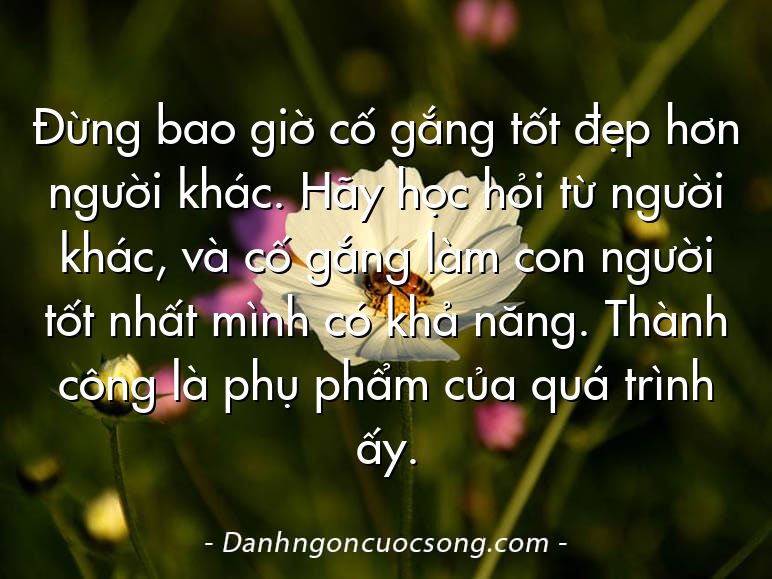 Đừng bao giờ cố gắng tốt đẹp hơn người khác. Hãy học hỏi từ người khác, và cố gắng làm con người tốt nhất mình có khả năng. Thành công là phụ phẩm của quá trình ấy.