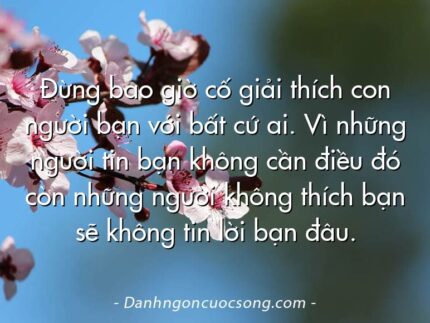 Đừng bao giờ cố giải thích con người bạn với bất cứ ai. Vì những người tin bạn không cần điều đó còn những người không thích bạn sẽ không tin lời bạn đâu.