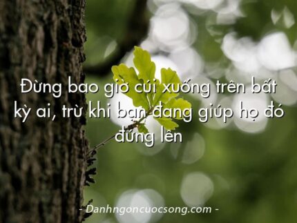 Đừng bao giờ cúi xuống trên bất kỳ ai, trừ khi bạn đang giúp họ đó đứng lên
