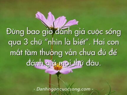 Đừng bao giờ đánh giá cuộc sống qua 3 chữ “nhìn là biết”. Hai con mắt tầm thường vẫn chưa đủ để đánh giá mọi thứ đâu.