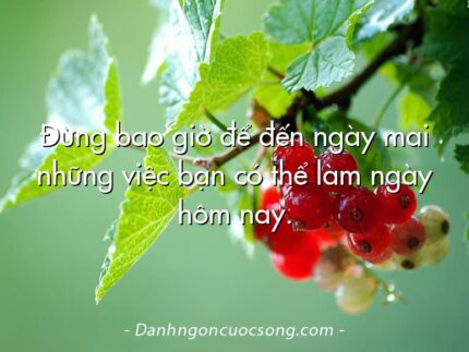 Đừng bao giờ để đến ngày mai những việc bạn có thể làm ngày hôm nay.