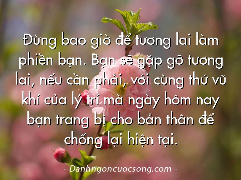 Đừng bao giờ để tương lai làm phiền bạn. Bạn sẽ gặp gỡ tương lai, nếu cần phải, với cùng thứ vũ khí của lý trí mà ngày hôm nay bạn trang bị cho bản thân để chống lại hiện tại.