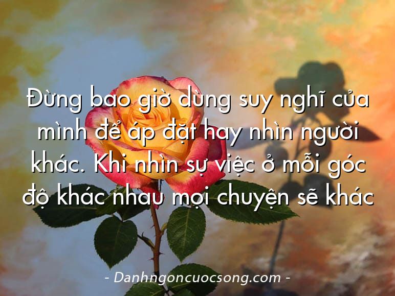 Đừng bao giờ dùng suy nghĩ của mình để áp đặt hay nhìn người khác. Khi nhìn sự việc ở mỗi góc độ khác nhau mọi chuyện sẽ khác