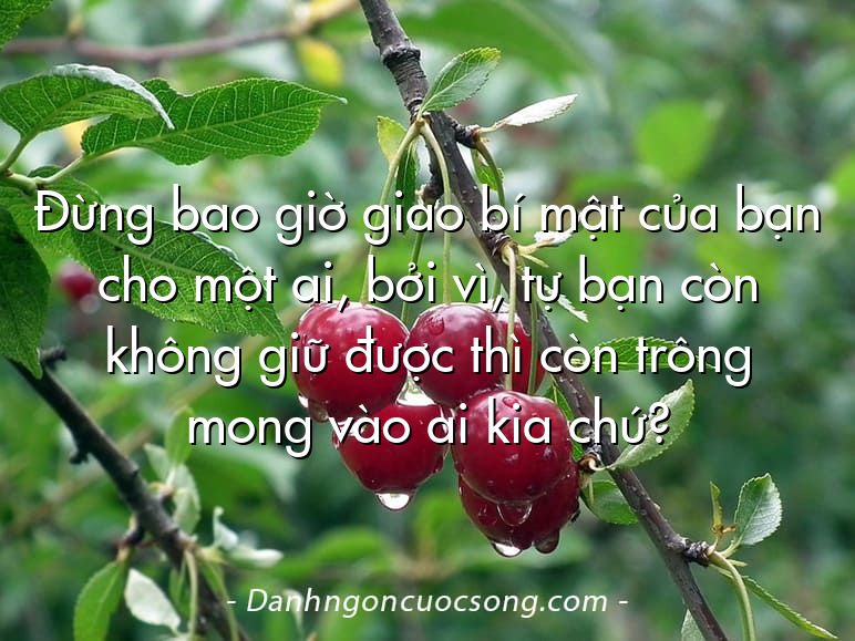 Đừng bao giờ giao bí mật của bạn cho một ai, bởi vì, tự bạn còn không giữ được thì còn trông mong vào ai kia chứ?