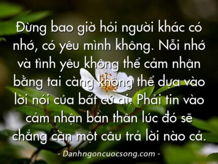 Đừng bao giờ hỏi người khác có nhớ, có yêu mình không. Nỗi nhớ và tình yêu không thể cảm nhận bằng tai càng không thể dựa vào lời nói của bất cứ ai. Phải tin vào cảm nhận bản thân lúc đó sẽ chẳng cần một câu trả lời nào cả.
