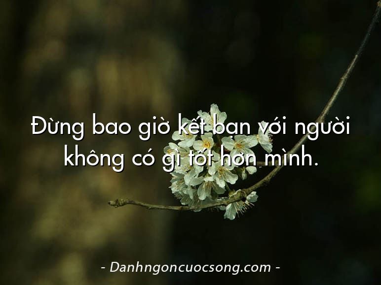 Đừng bao giờ kết bạn với người không có gì tốt hơn mình.