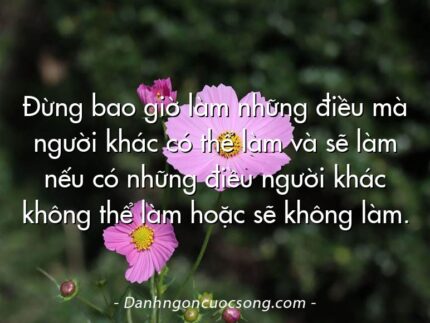 Đừng bao giờ làm những điều mà người khác có thể làm và sẽ làm nếu có những điều người khác không thể làm hoặc sẽ không làm.