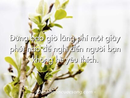 Đừng bao giờ lãng phí một giây phút nào để nghĩ đến người bạn không hề yêu thích.