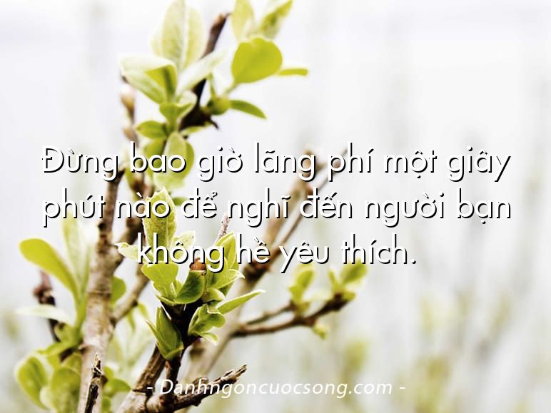 Đừng bao giờ lãng phí một giây phút nào để nghĩ đến người bạn không hề yêu thích.