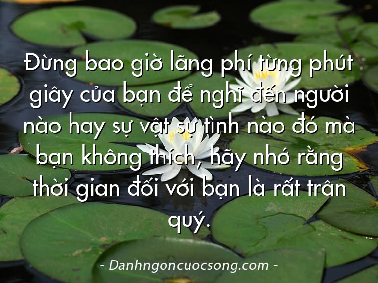 Đừng bao giờ lãng phí từng phút giây của bạn để nghĩ đến người nào hay sự vật sự tình nào đó mà bạn không thích, hãy nhớ rằng thời gian đối với bạn là rất trân quý.