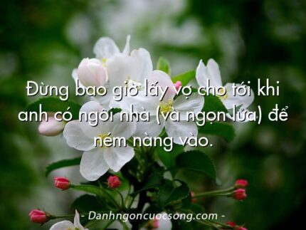 Đừng bao giờ lấy vợ cho tới khi anh có ngôi nhà (và ngọn lửa) để ném nàng vào.