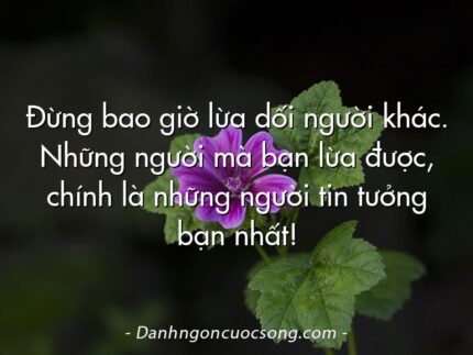 Đừng bao giờ lừa dối người khác. Những người mà bạn lừa được, chính là những người tin tưởng bạn nhất!