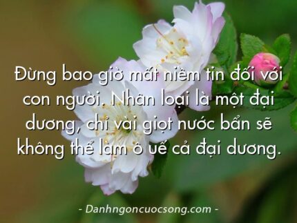 Đừng bao giờ mất niềm tin đối với con người. Nhân loại là một đại dương, chỉ vài giọt nước bẩn sẽ không thể làm ô uế cả đại dương.