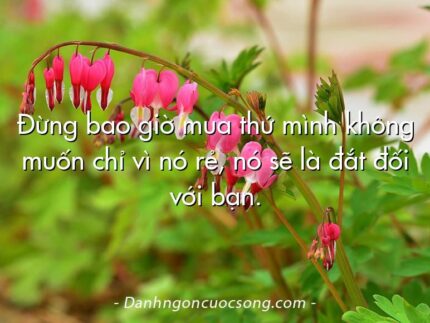 Đừng bao giờ mua thứ mình không muốn chỉ vì nó rẻ, nó sẽ là đắt đối với bạn.