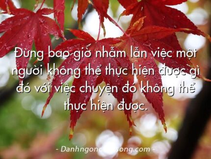 Đừng bao giờ nhẫm lẫn việc một người không thể thực hiện được gì đó với việc chuyện đó không thể thực hiện được.
