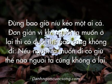 Đừng bao giờ níu kéo một ai cả. Đơn giản vì khi người ta muốn ở lại thì có đuổi thế nào cũng không đi. Nếu người ta muốn đi có giữ thế nào người ta cũng không ở lại.