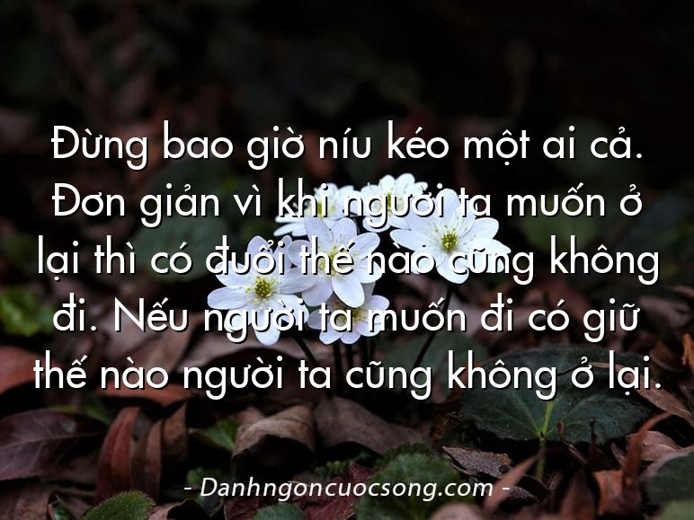 Đừng bao giờ níu kéo một ai cả. Đơn giản vì khi người ta muốn ở lại thì có đuổi thế nào cũng không đi. Nếu người ta muốn đi có giữ thế nào người ta cũng không ở lại.