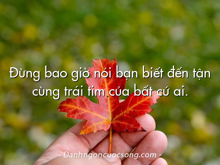 Đừng bao giờ nói bạn biết đến tận cùng trái tim của bất cứ ai.