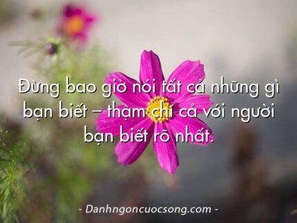 Đừng bao giờ nói tất cả những gì bạn biết – thậm chí cả với người bạn biết rõ nhất.