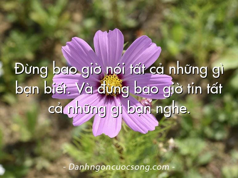 Đừng bao giờ nói tất cả những gì bạn biết. Và đừng bao giờ tin tất cả những gì bạn nghe.