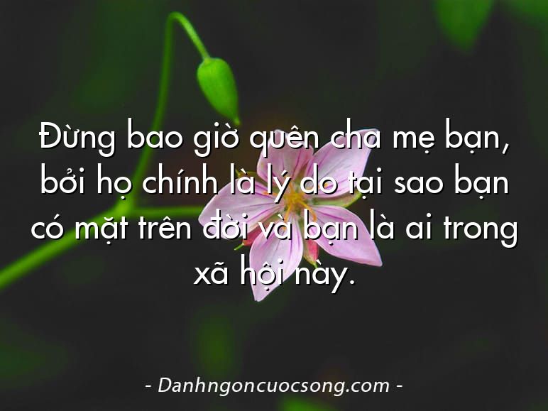 Đừng bao giờ quên cha mẹ bạn, bởi họ chính là lý do tại sao bạn có mặt trên đời và bạn là ai trong xã hội này.
