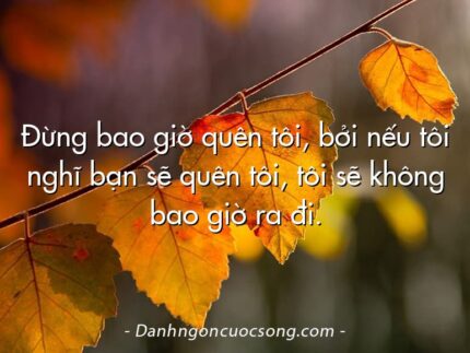 Đừng bao giờ quên tôi, bởi nếu tôi nghĩ bạn sẽ quên tôi, tôi sẽ không bao giờ ra đi.