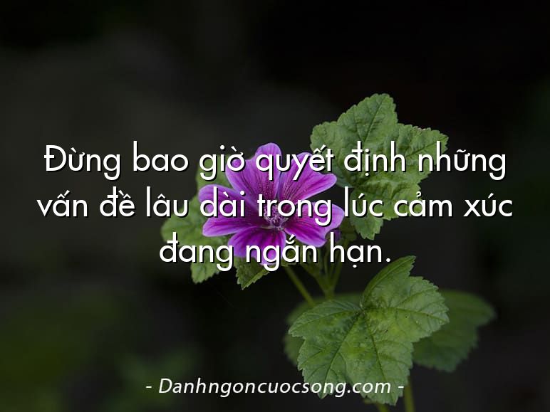 Đừng bao giờ quyết định những vấn đề lâu dài trong lúc cảm xúc đang ngắn hạn.
