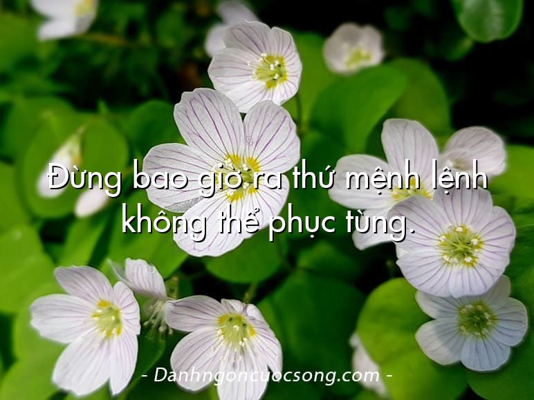 Đừng bao giờ ra thứ mệnh lệnh không thể phục tùng.