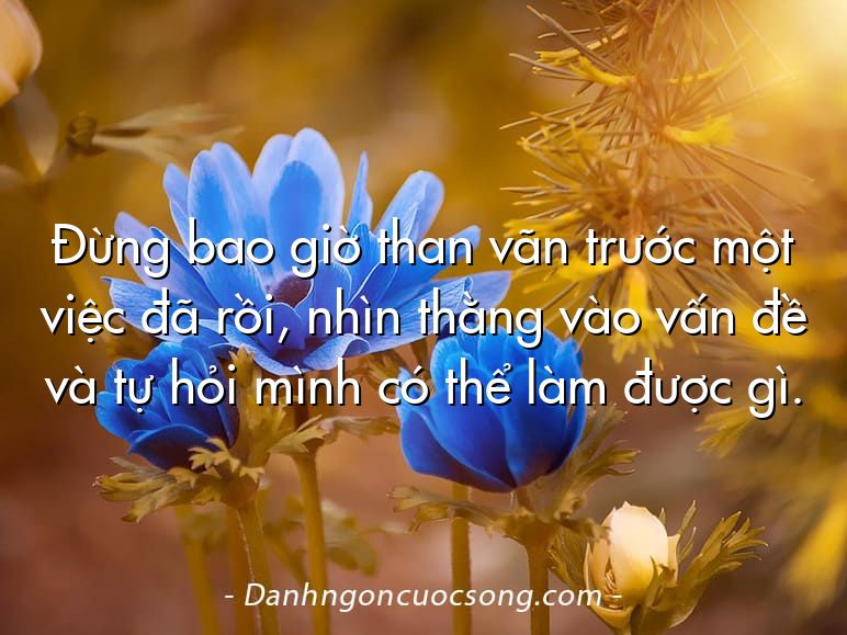 Đừng bao giờ than vãn trước một việc đã rồi, nhìn thằng vào vấn đề và tự hỏi mình có thể làm được gì.