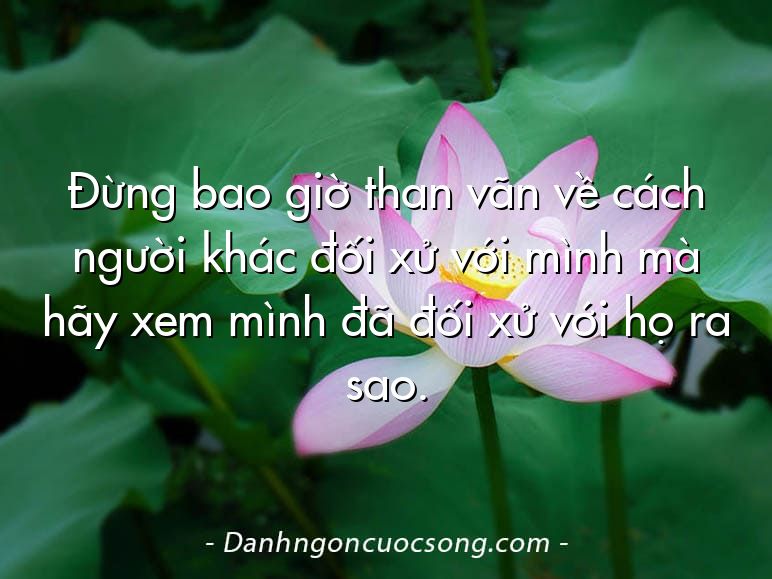 Đừng bao giờ than vãn về cách người khác đối xử với mình mà hãy xem mình đã đối xử với họ ra sao.