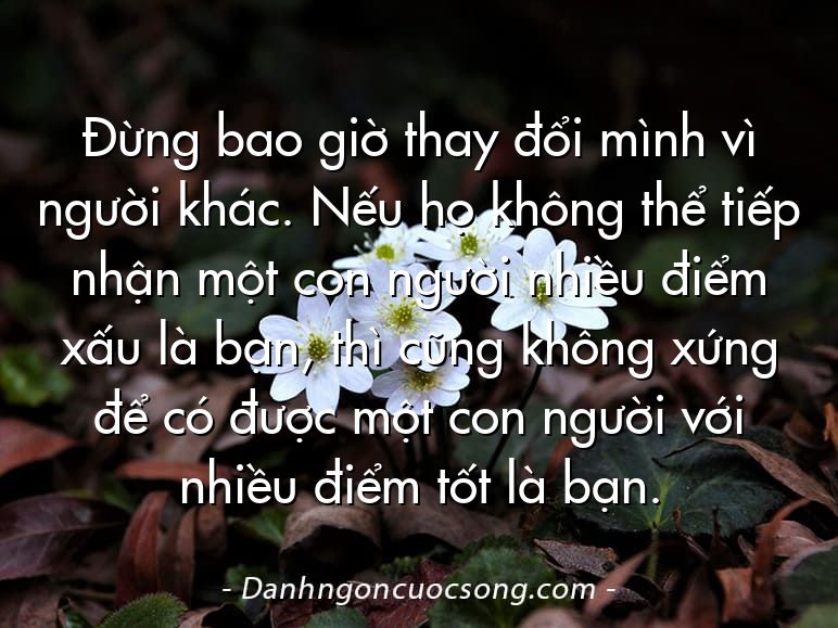 Đừng bao giờ thay đổi mình vì người khác. Nếu họ không thể tiếp nhận một con người nhiều điểm xấu là bạn, thì cũng không xứng để có được một con người với nhiều điểm tốt là bạn.