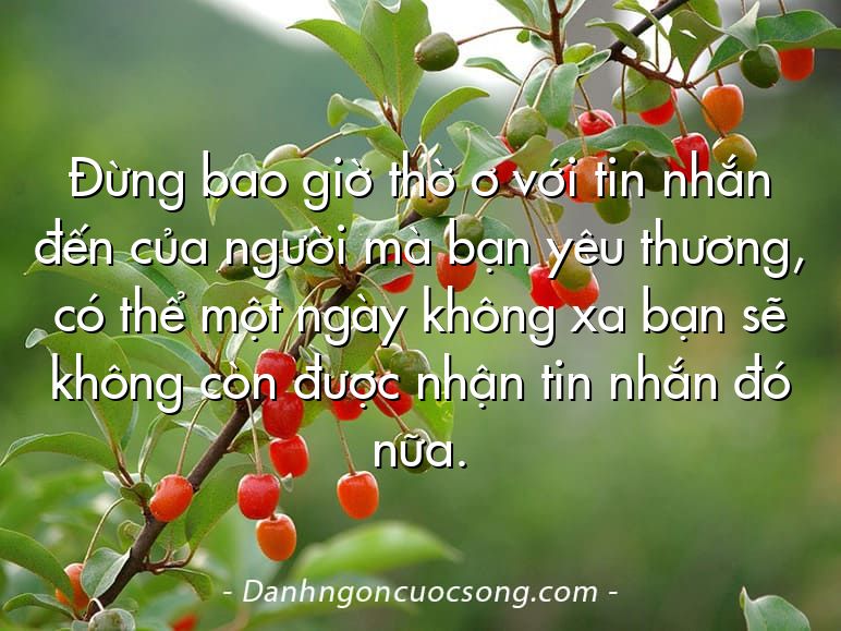 Đừng bao giờ thờ ơ với tin nhắn đến của người mà bạn yêu thương, có thể một ngày không xa bạn sẽ không còn được nhận tin nhắn đó nữa.