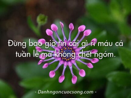 Đừng bao giờ tin cái gì rỉ máu cả tuần lễ mà không chết ngóm.