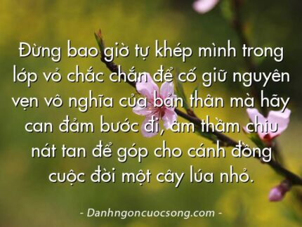 Đừng bao giờ tự khép mình trong lớp vỏ chắc chắn để cố giữ nguyên vẹn vô nghĩa của bản thân mà hãy can đảm bước đi, âm thầm chịu nát tan để góp cho cánh đồng cuộc đời một cây lúa nhỏ.