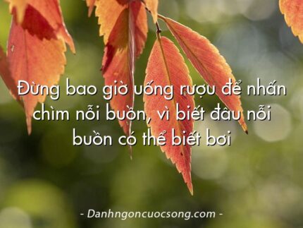 Đừng bao giờ uống rượu để nhấn chìm nỗi buồn, vì biết đâu nỗi buồn có thể biết bơi