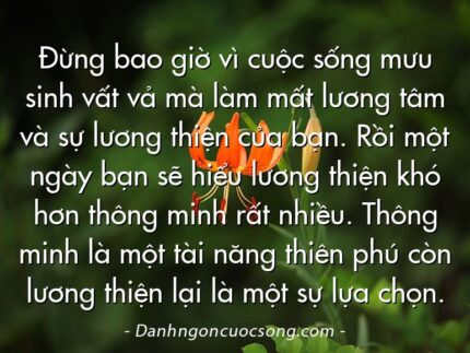 Đừng bao giờ vì cuộc sống mưu sinh vất vả mà làm mất lương tâm và sự lương thiện của bạn. Rồi một ngày bạn sẽ hiểu lương thiện khó hơn thông minh rất nhiều. Thông minh là một tài năng thiên phú còn lương thiện lại là một sự lựa chọn.